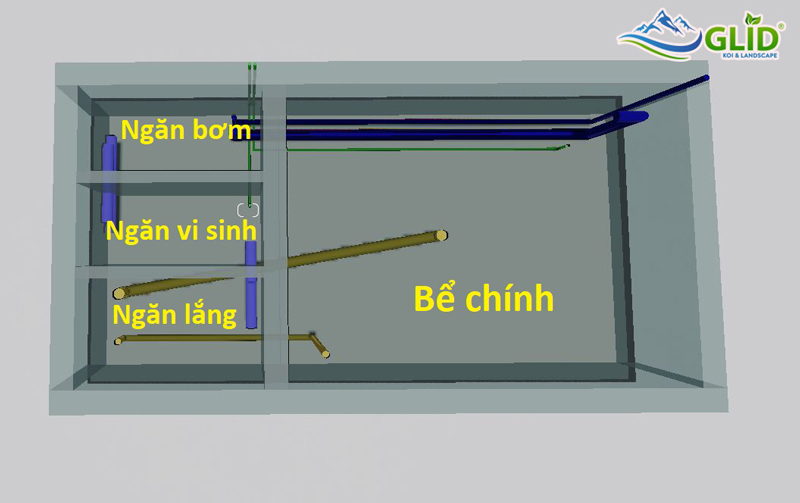 Cấu tạo cơ bản của hồ cá Koi